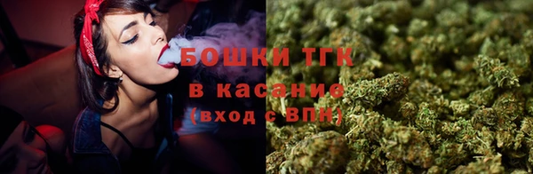 шишки Володарск