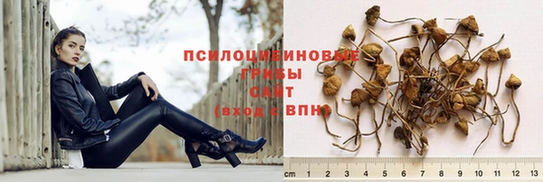 шишки Володарск