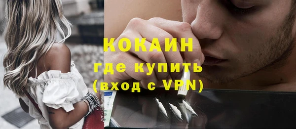 шишки Володарск