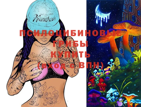 стафф Тобольск