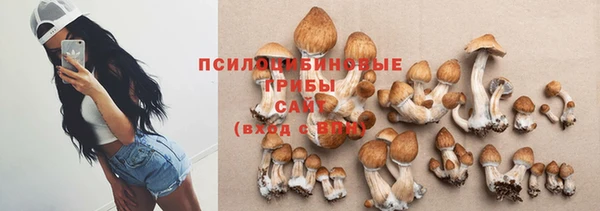 apvp Тихвин