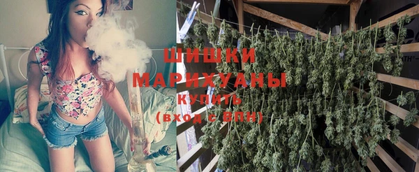 шишки Володарск