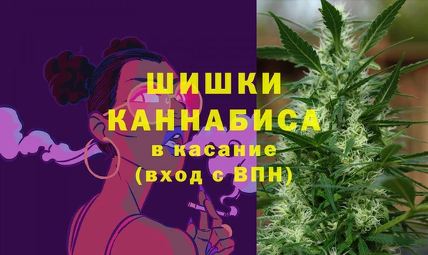 шишки Володарск