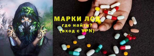 шишки Володарск